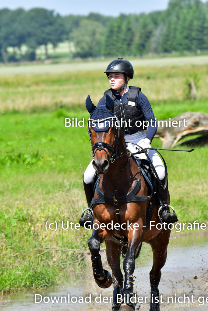 Goldene Schärpe Pferde  in Löningen  11+12.6.22 | 11062022 - Gelände 1 Abt_0587 