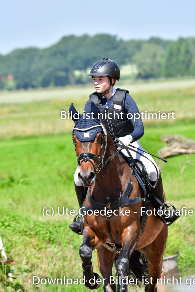 Goldene Schärpe Pferde  in Löningen  11+12.6.22 | 11062022 - Gelände 1 Abt_0588 