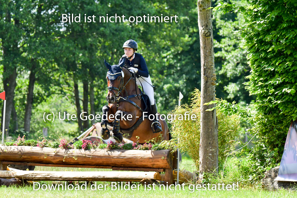 Goldene Schärpe Pferde  in Löningen  11+12.6.22 | 11062022 - Gelände 1 Abt_0590 