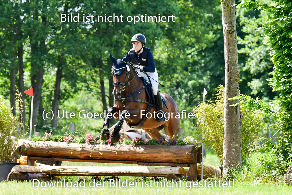 Goldene Schärpe Pferde  in Löningen  11+12.6.22 | 11062022 - Gelände 1 Abt_0591 