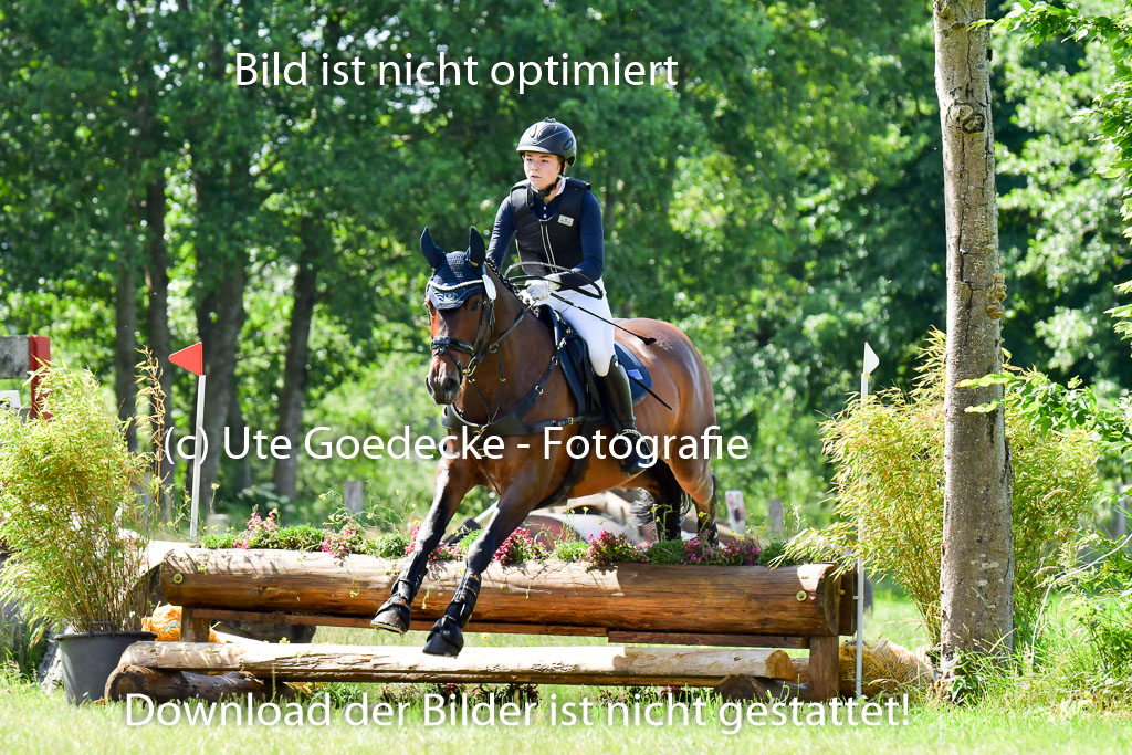 Goldene Schärpe Pferde  in Löningen  11+12.6.22 | 11062022 - Gelände 1 Abt_0592 