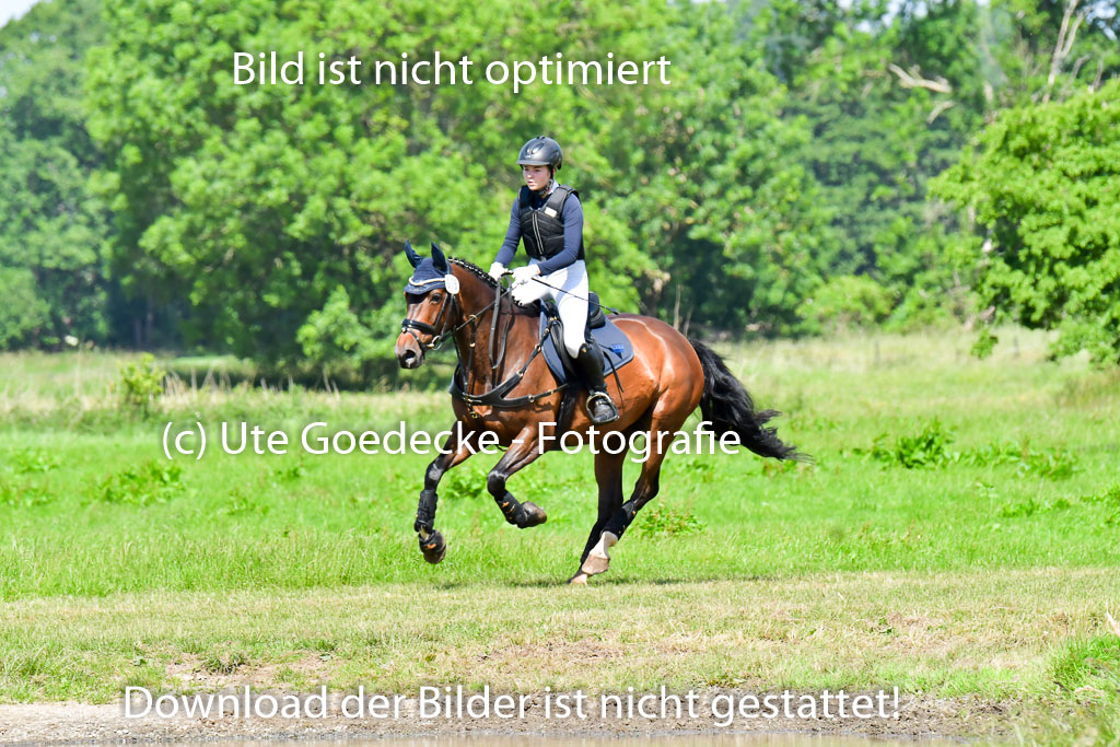 Goldene Schärpe Pferde  in Löningen  11+12.6.22 | 11062022 - Gelände 1 Abt_0593