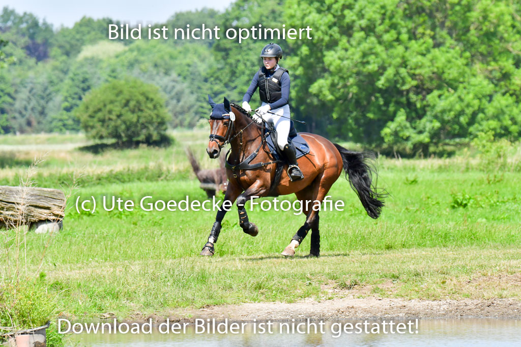 Goldene Schärpe Pferde  in Löningen  11+12.6.22 | 11062022 - Gelände 1 Abt_0594 