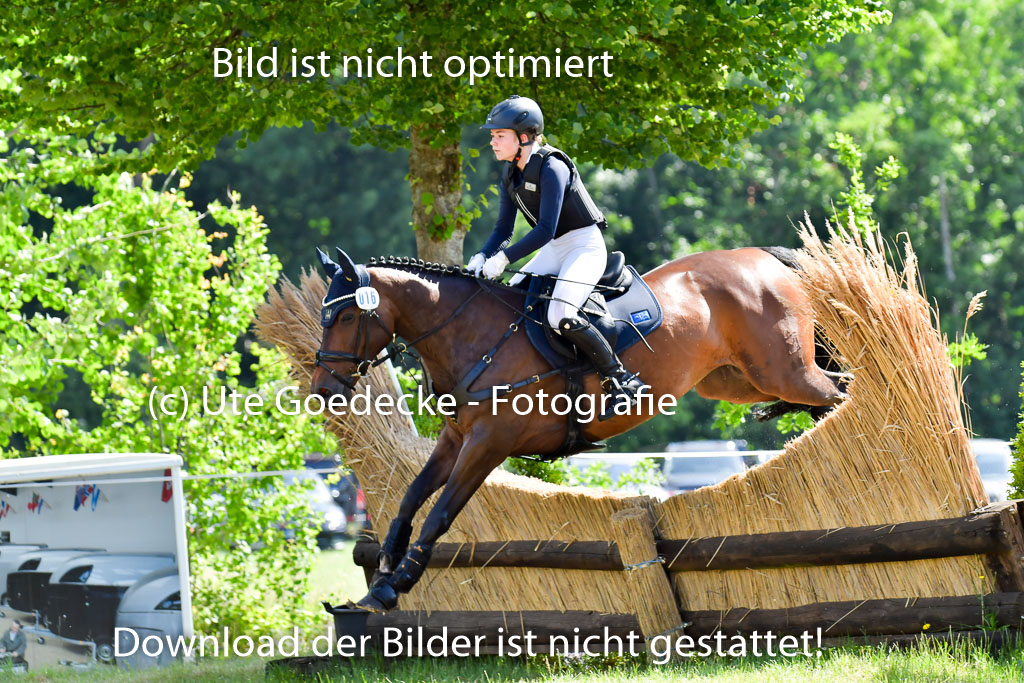 Goldene Schärpe Pferde  in Löningen  11+12.6.22 | 11062022 - Gelände 1 Abt_0599 