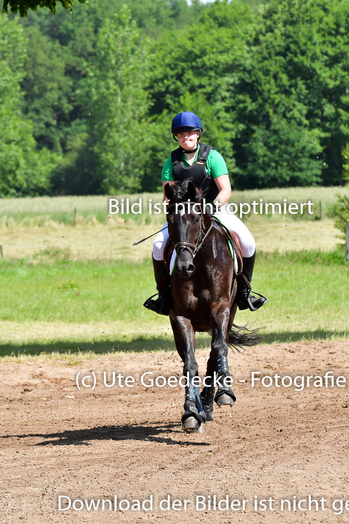 Goldene Schärpe Pferde  in Löningen  11+12.6.22 | 11062022 - Gelände 1 Abt_0602 