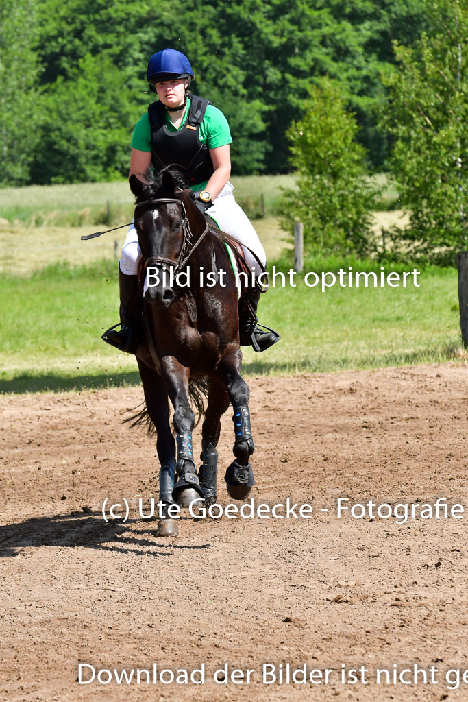 Goldene Schärpe Pferde  in Löningen  11+12.6.22 | 11062022 - Gelände 1 Abt_0603 