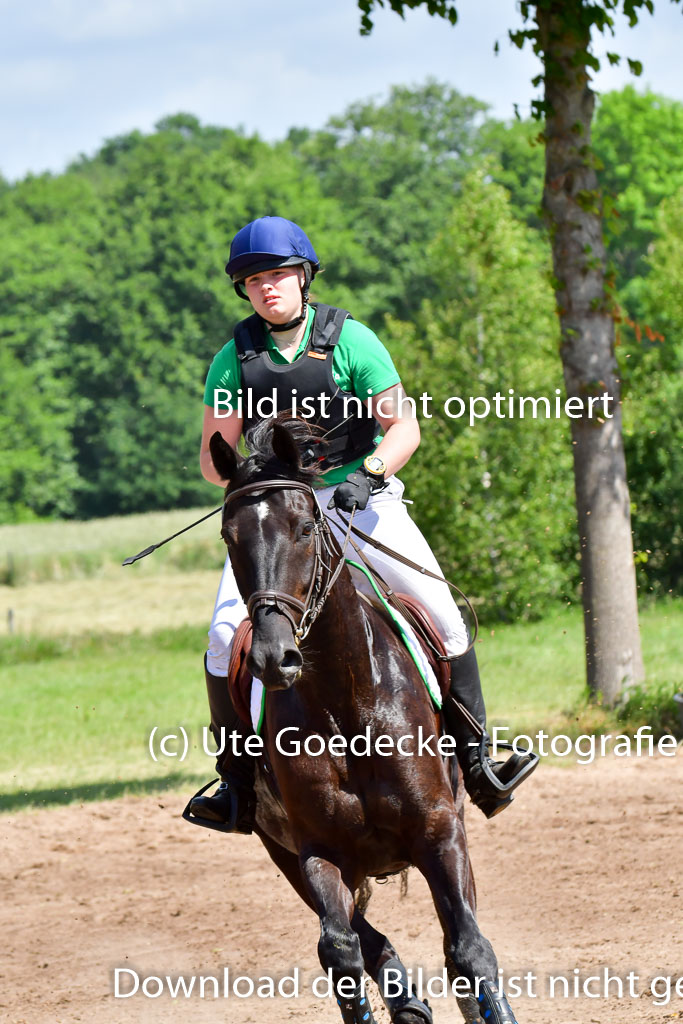 Goldene Schärpe Pferde  in Löningen  11+12.6.22 | 11062022 - Gelände 1 Abt_0604 