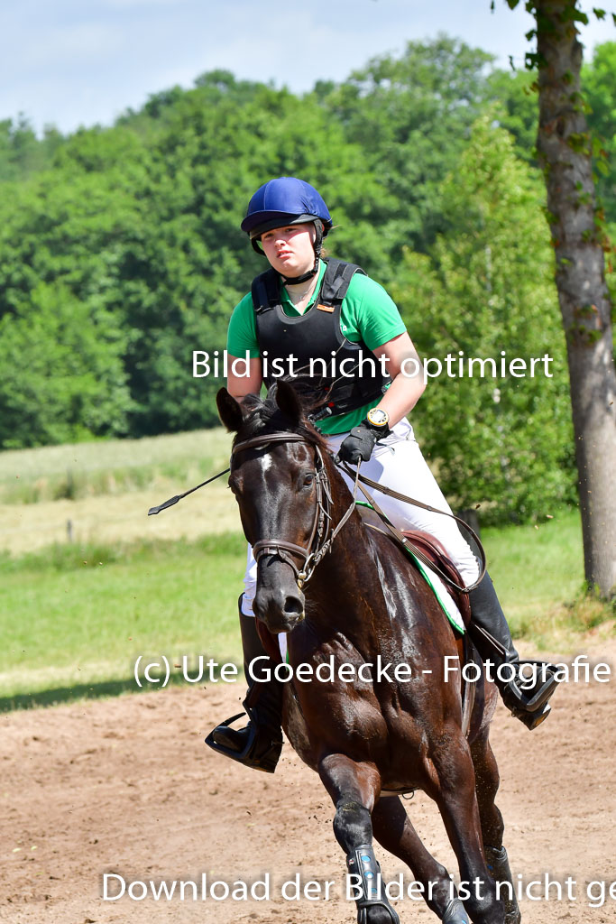 Goldene Schärpe Pferde  in Löningen  11+12.6.22 | 11062022 - Gelände 1 Abt_0605 
