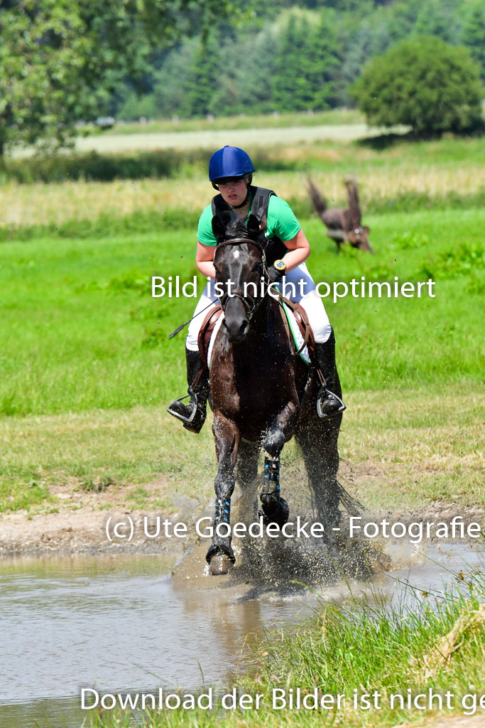 Goldene Schärpe Pferde  in Löningen  11+12.6.22 | 11062022 - Gelände 1 Abt_0612 