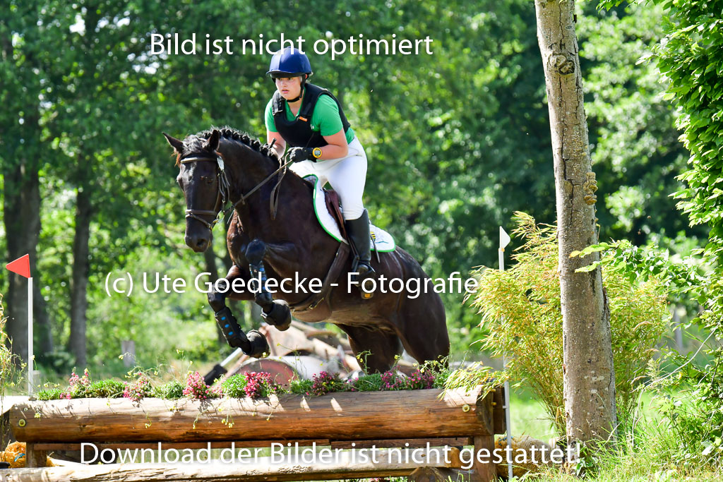 Goldene Schärpe Pferde  in Löningen  11+12.6.22 | 11062022 - Gelände 1 Abt_0618 