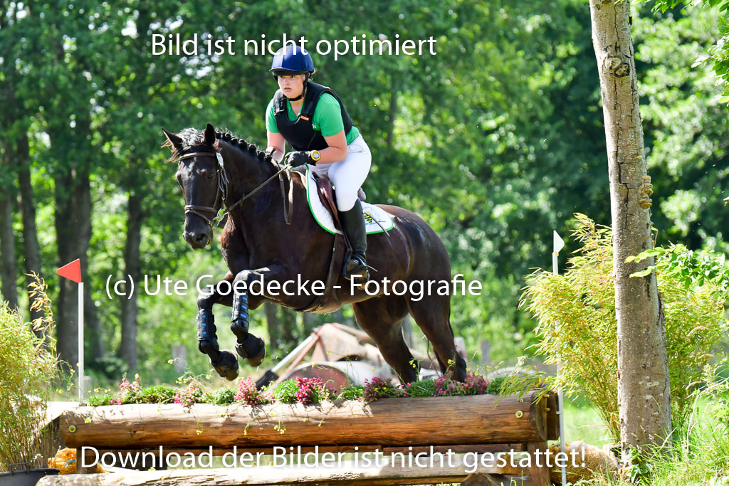 Goldene Schärpe Pferde  in Löningen  11+12.6.22 | 11062022 - Gelände 1 Abt_0619
