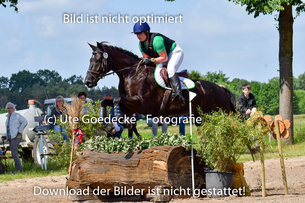 Goldene Schärpe Pferde  in Löningen  11+12.6.22 | 11062022 - Gelände 1 Abt_0621 