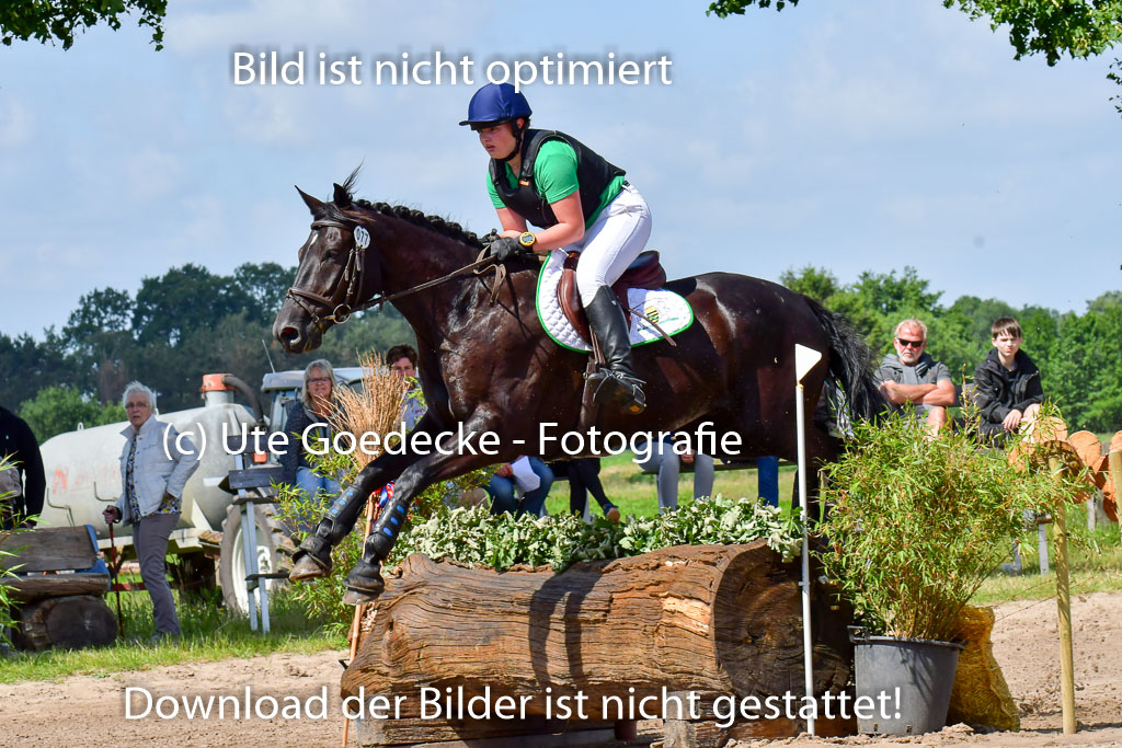 Goldene Schärpe Pferde  in Löningen  11+12.6.22 | 11062022 - Gelände 1 Abt_0622 