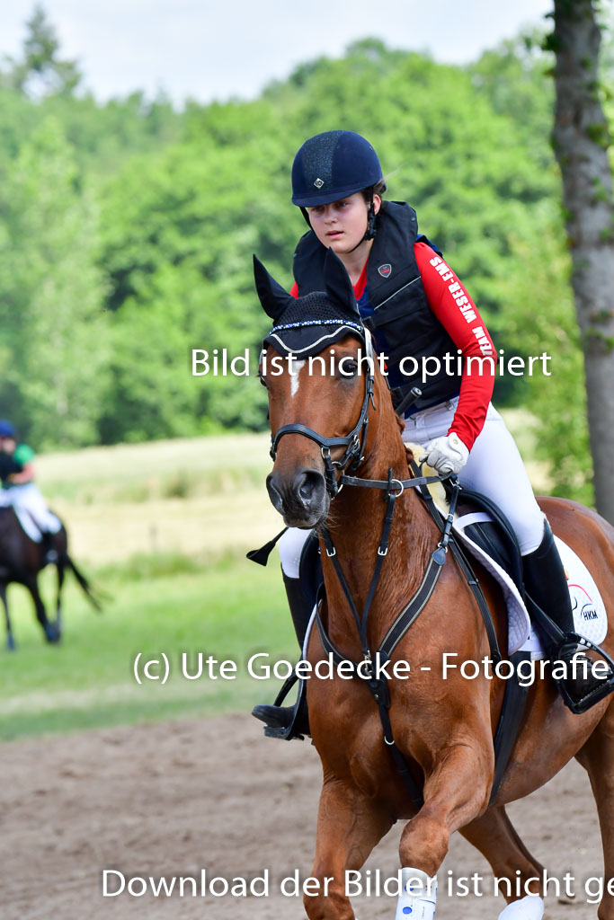 Goldene Schärpe Pferde  in Löningen  11+12.6.22 | 11062022 - Gelände 1 Abt_0630 