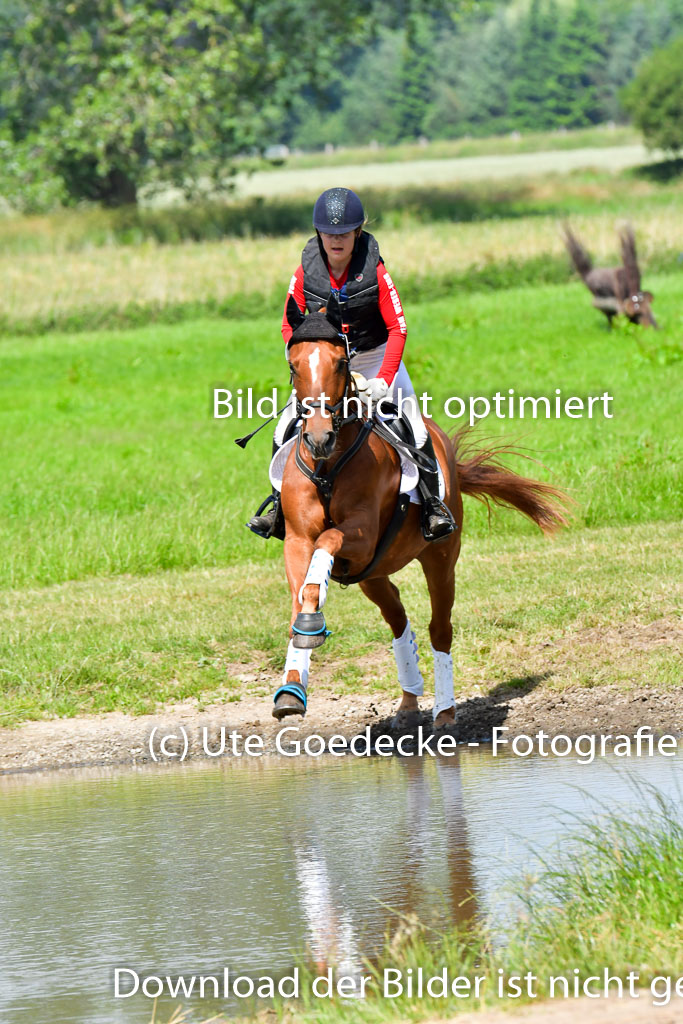 Goldene Schärpe Pferde  in Löningen  11+12.6.22 | 11062022 - Gelände 1 Abt_0632 
