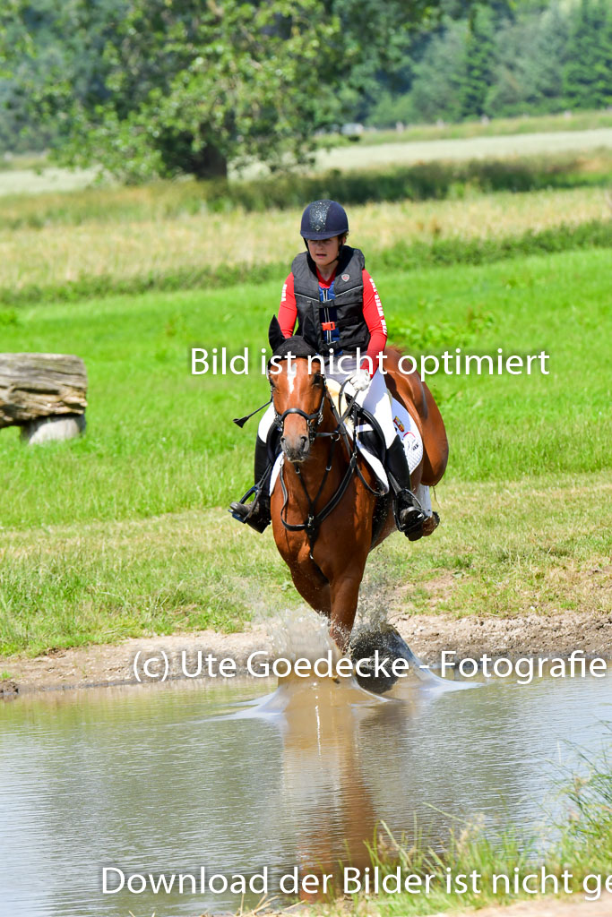 Goldene Schärpe Pferde  in Löningen  11+12.6.22 | 11062022 - Gelände 1 Abt_0634 