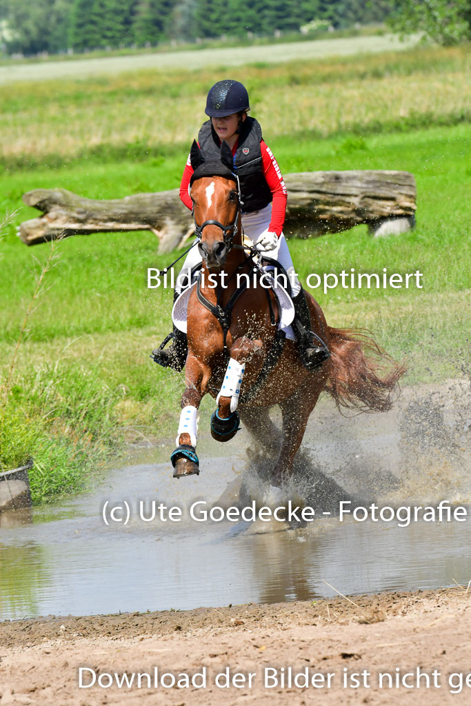 Goldene Schärpe Pferde  in Löningen  11+12.6.22 | 11062022 - Gelände 1 Abt_0637 