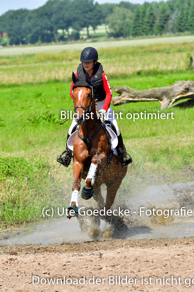 Goldene Schärpe Pferde  in Löningen  11+12.6.22 | 11062022 - Gelände 1 Abt_0638 
