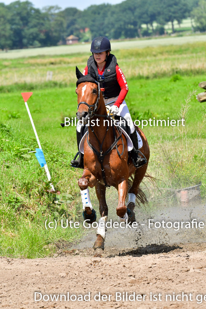Goldene Schärpe Pferde  in Löningen  11+12.6.22 | 11062022 - Gelände 1 Abt_0639 