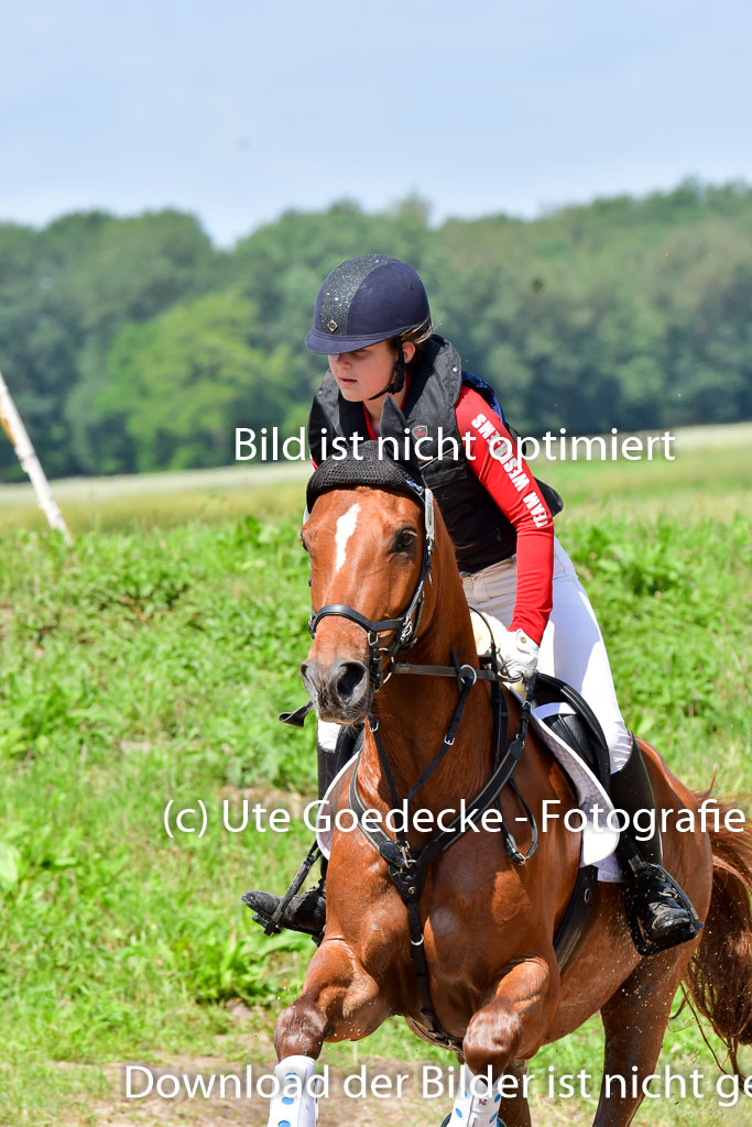 Goldene Schärpe Pferde  in Löningen  11+12.6.22 | 11062022 - Gelände 1 Abt_0640 