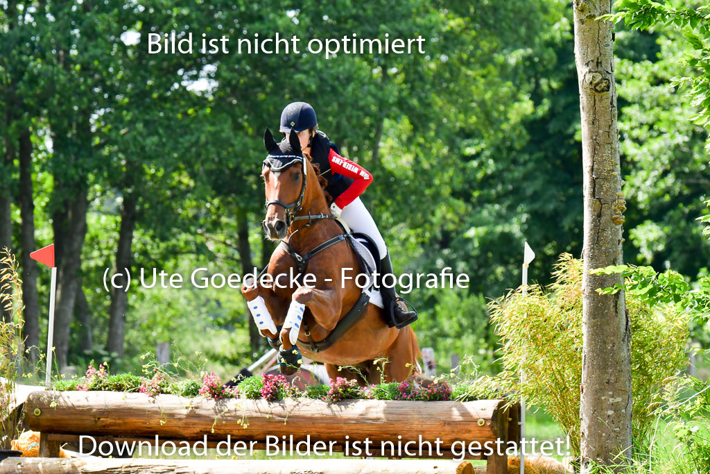 Goldene Schärpe Pferde  in Löningen  11+12.6.22 | 11062022 - Gelände 1 Abt_0641 
