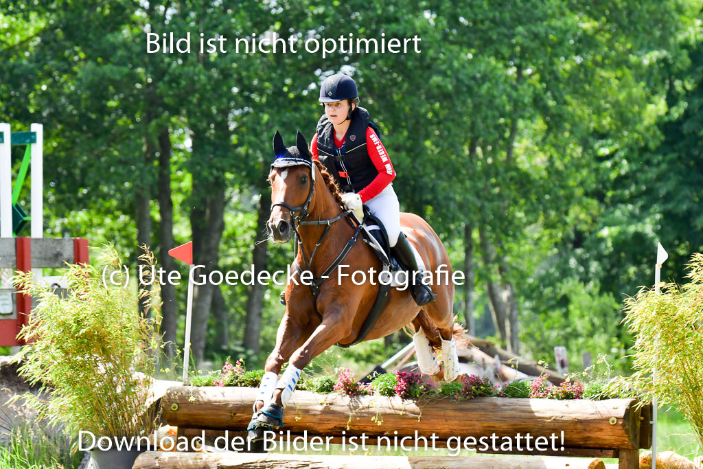 Goldene Schärpe Pferde  in Löningen  11+12.6.22 | 11062022 - Gelände 1 Abt_0643 