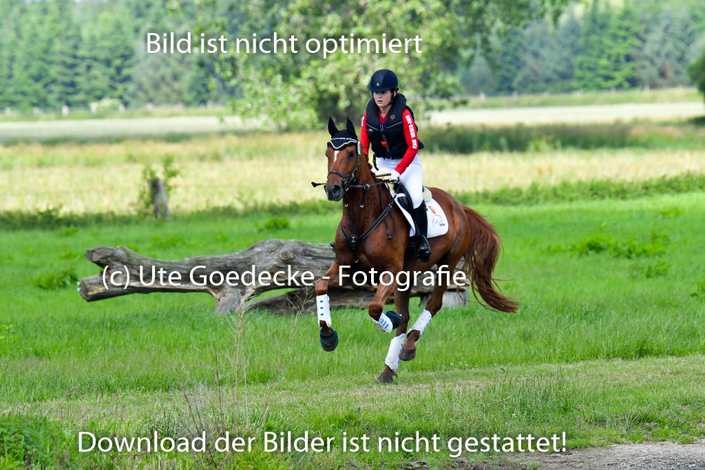 Goldene Schärpe Pferde  in Löningen  11+12.6.22 | 11062022 - Gelände 1 Abt_0645 