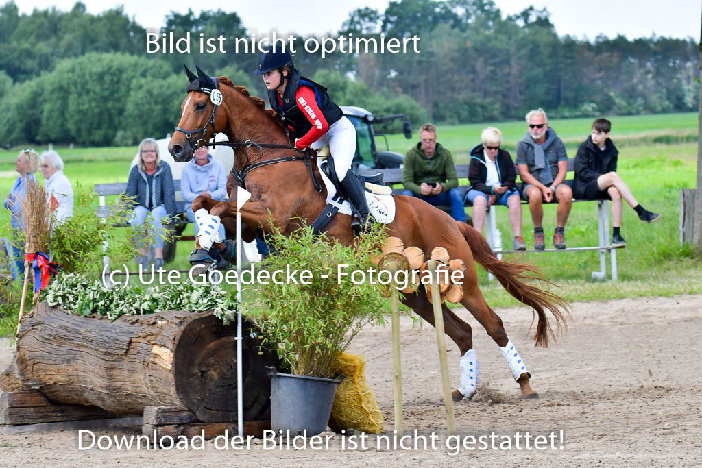 Goldene Schärpe Pferde  in Löningen  11+12.6.22 | 11062022 - Gelände 1 Abt_0647 