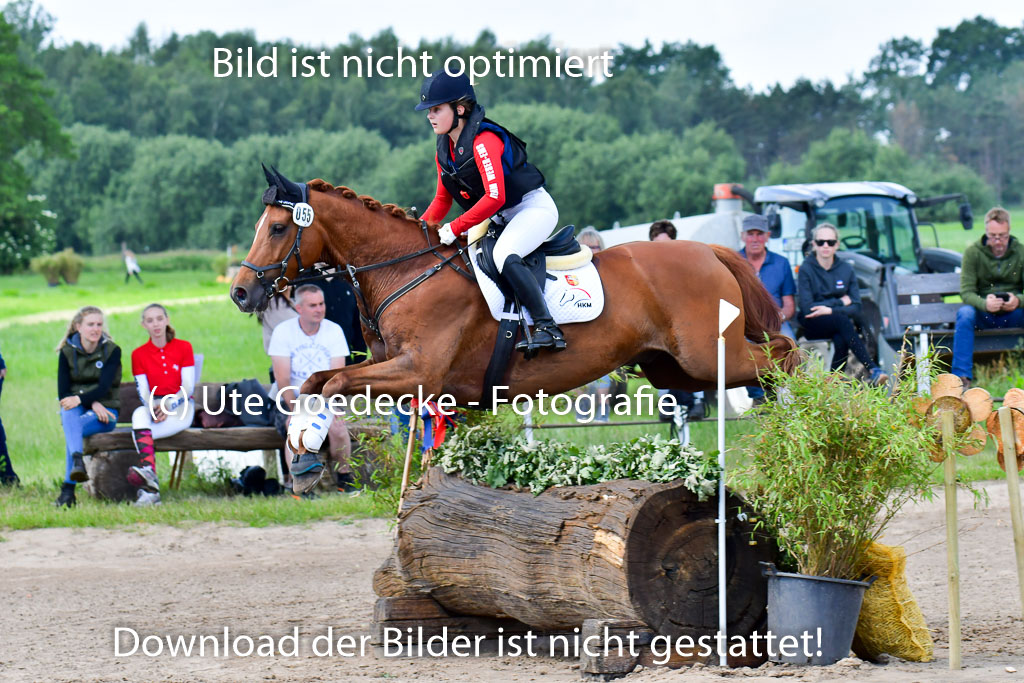 Goldene Schärpe Pferde  in Löningen  11+12.6.22 | 11062022 - Gelände 1 Abt_0649 