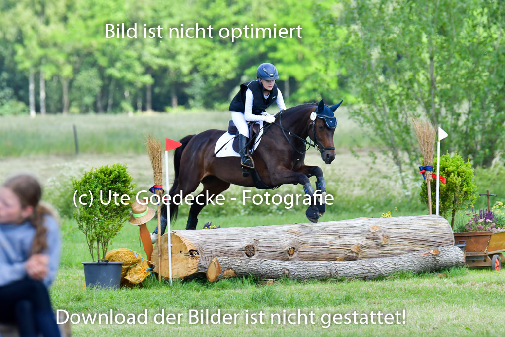 Goldene Schärpe Pferde  in Löningen  11+12.6.22 | 11062022 - Gelände 1 Abt_0653 