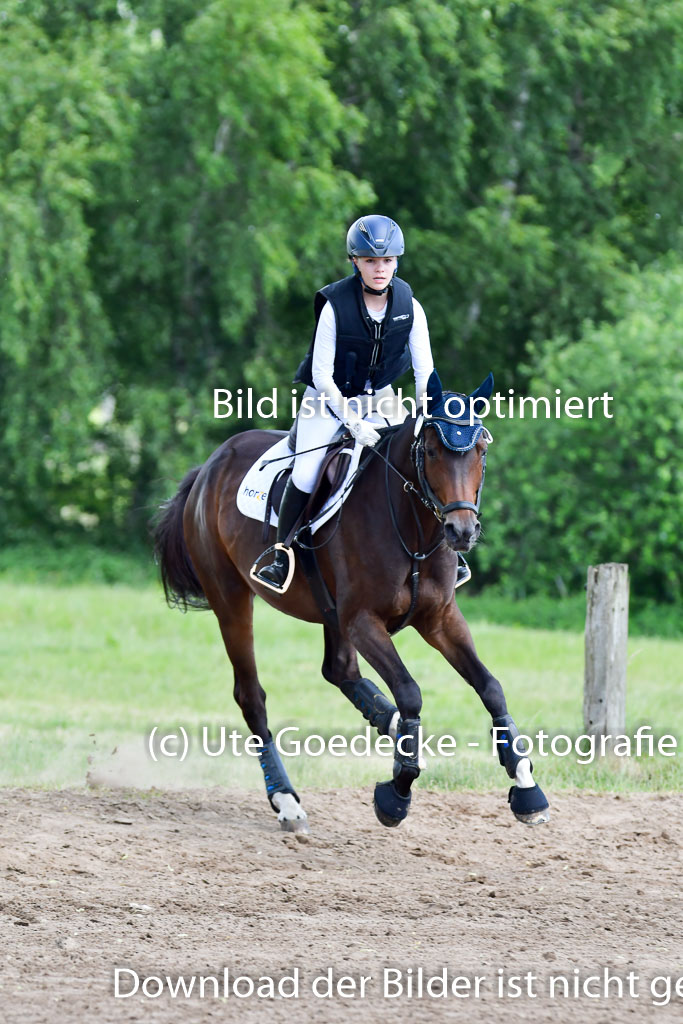 Goldene Schärpe Pferde  in Löningen  11+12.6.22 | 11062022 - Gelände 1 Abt_0654 