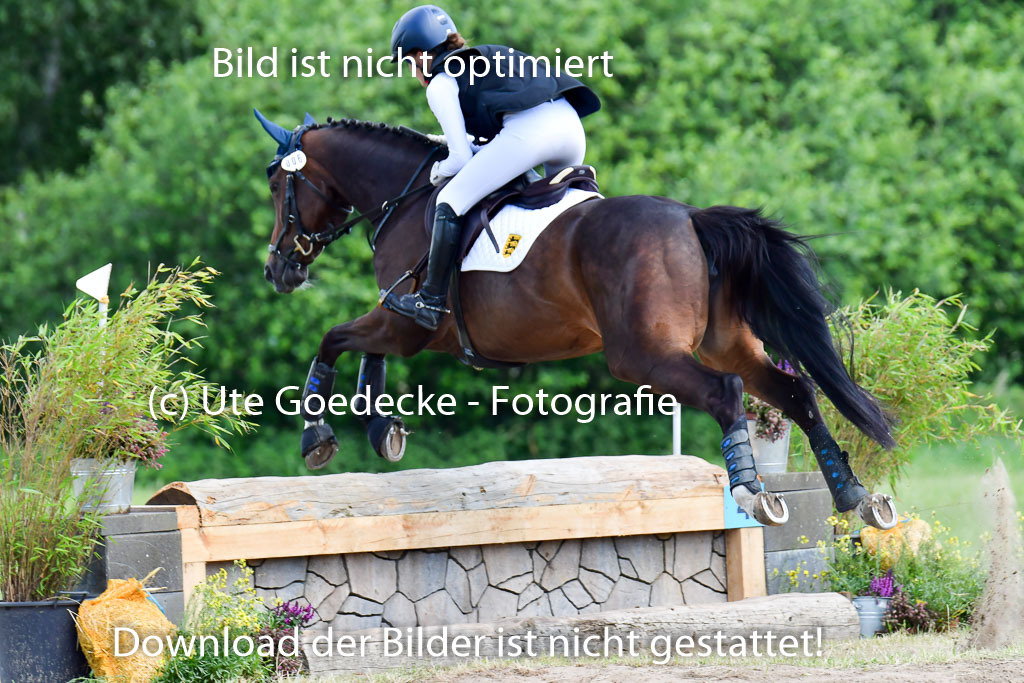 Goldene Schärpe Pferde  in Löningen  11+12.6.22 | 11062022 - Gelände 1 Abt_0656 