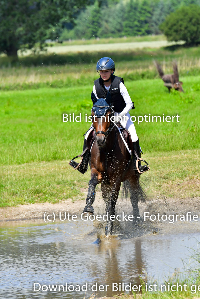 Goldene Schärpe Pferde  in Löningen  11+12.6.22 | 11062022 - Gelände 1 Abt_0657