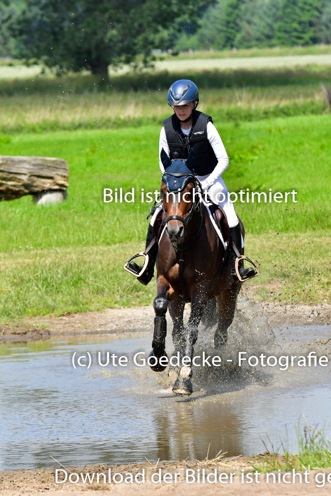Goldene Schärpe Pferde  in Löningen  11+12.6.22 | 11062022 - Gelände 1 Abt_0658 