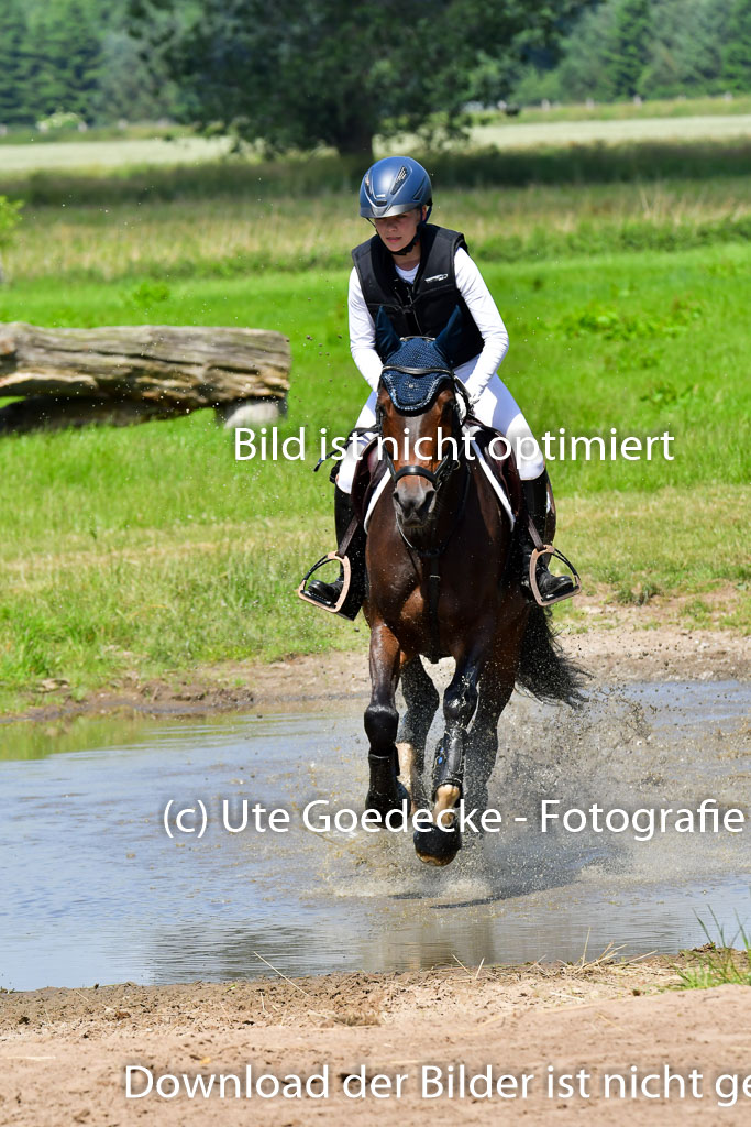 Goldene Schärpe Pferde  in Löningen  11+12.6.22 | 11062022 - Gelände 1 Abt_0659 