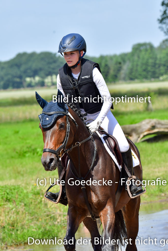 Goldene Schärpe Pferde  in Löningen  11+12.6.22 | 11062022 - Gelände 1 Abt_0661 