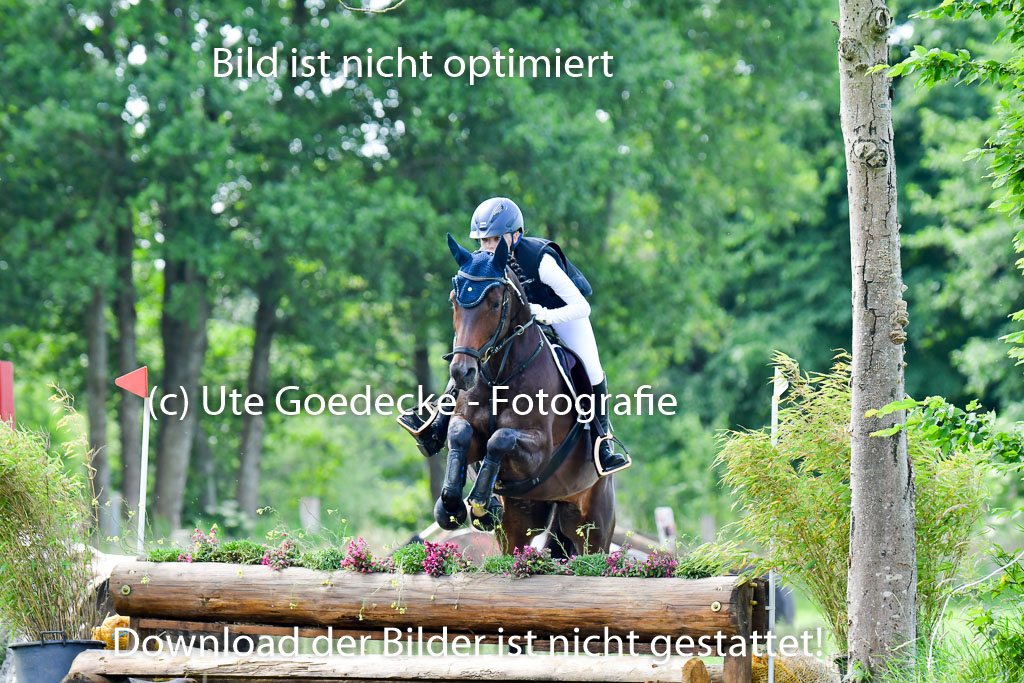 Goldene Schärpe Pferde  in Löningen  11+12.6.22 | 11062022 - Gelände 1 Abt_0663 