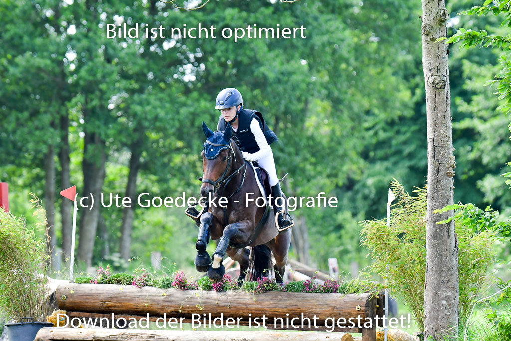 Goldene Schärpe Pferde  in Löningen  11+12.6.22 | 11062022 - Gelände 1 Abt_0664 