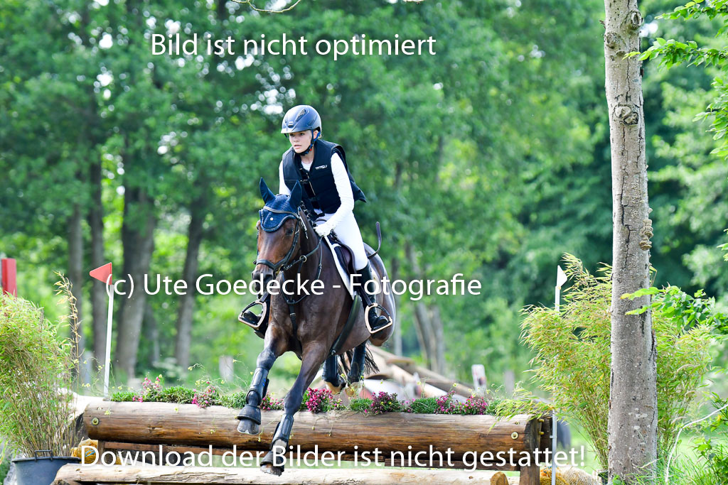 Goldene Schärpe Pferde  in Löningen  11+12.6.22 | 11062022 - Gelände 1 Abt_0665 