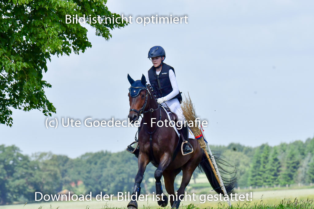 Goldene Schärpe Pferde  in Löningen  11+12.6.22 | 11062022 - Gelände 1 Abt_0667 