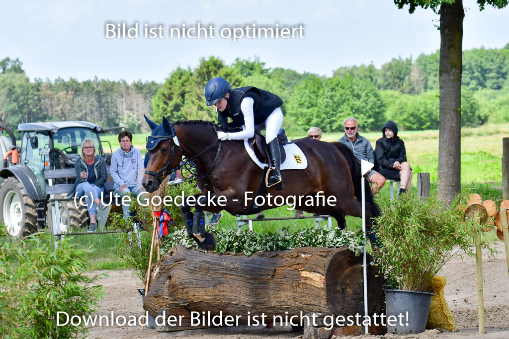 Goldene Schärpe Pferde  in Löningen  11+12.6.22 | 11062022 - Gelände 1 Abt_0669 