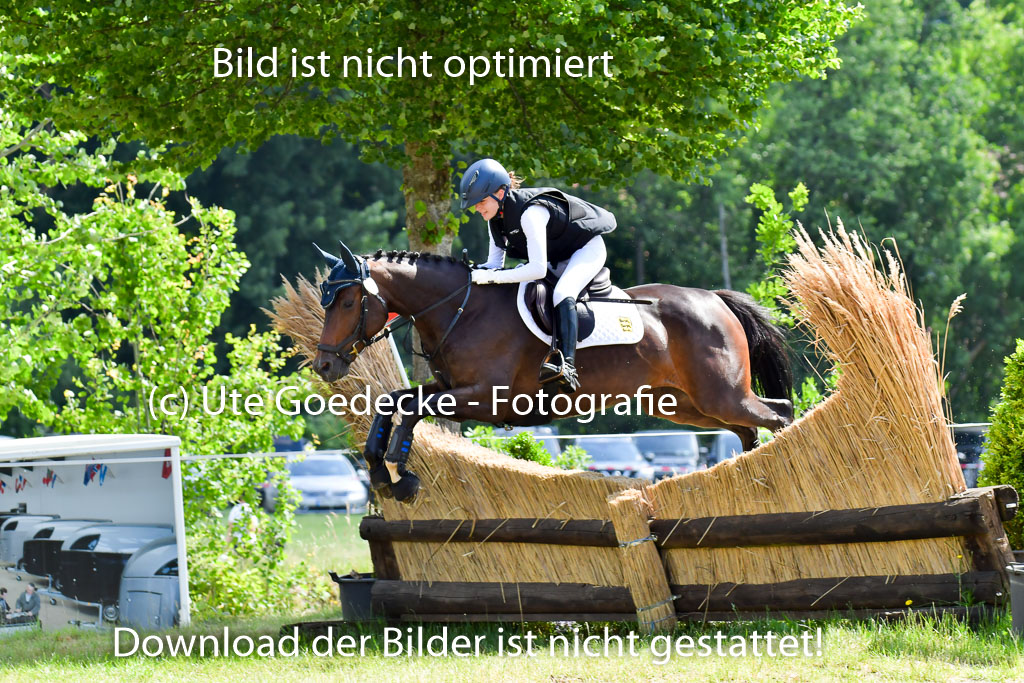 Goldene Schärpe Pferde  in Löningen  11+12.6.22 | 11062022 - Gelände 1 Abt_0671 