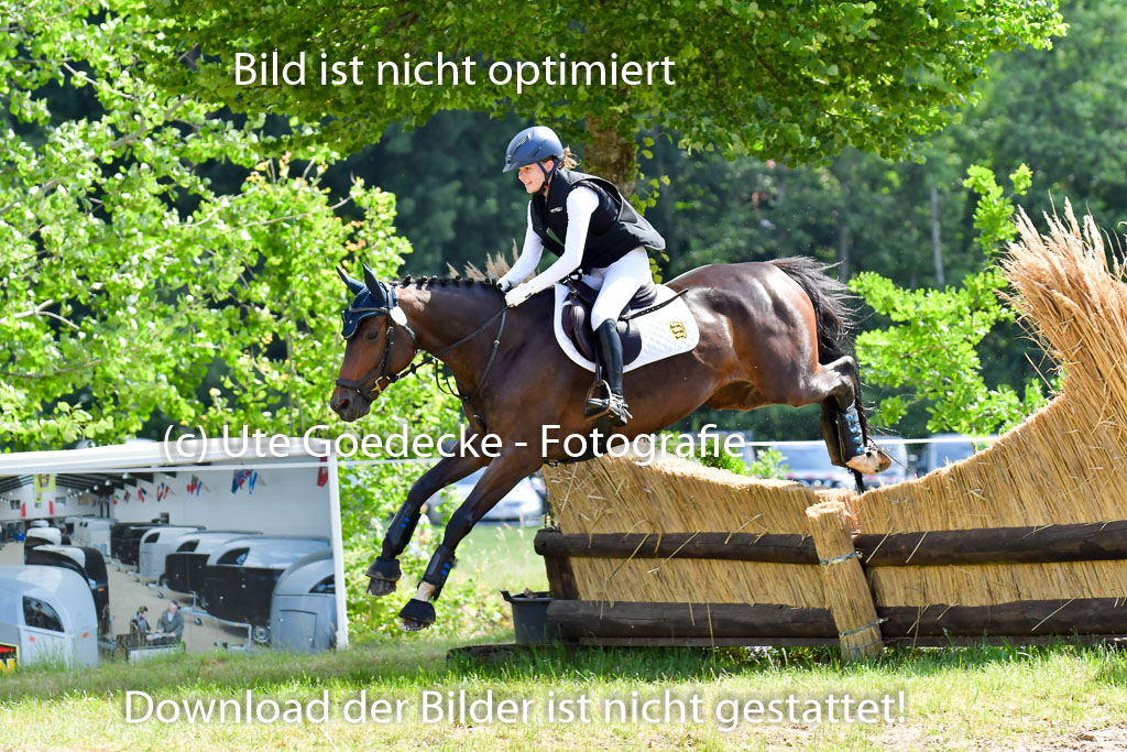 Goldene Schärpe Pferde  in Löningen  11+12.6.22 | 11062022 - Gelände 1 Abt_0672 