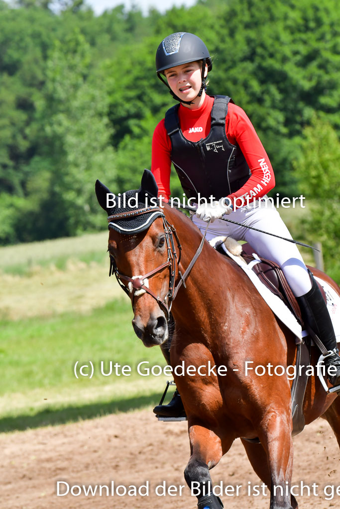 Goldene Schärpe Pferde  in Löningen  11+12.6.22 | 11062022 - Gelände 1 Abt_0677 