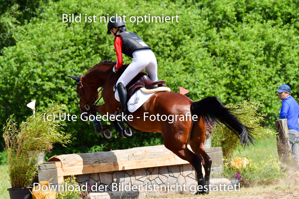 Goldene Schärpe Pferde  in Löningen  11+12.6.22 | 11062022 - Gelände 1 Abt_0678 