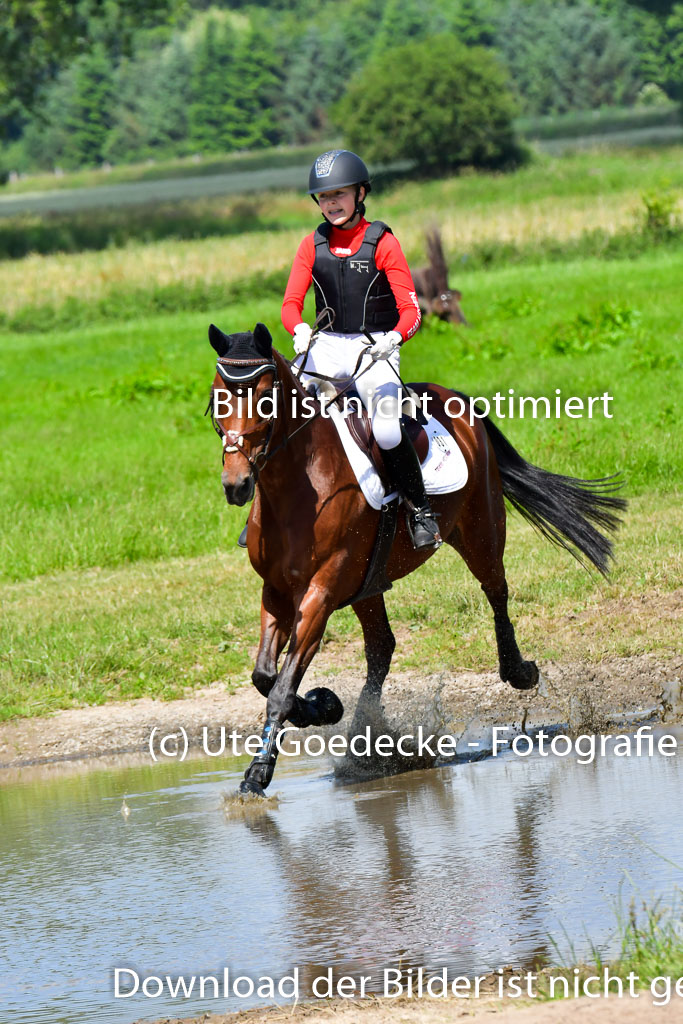 Goldene Schärpe Pferde  in Löningen  11+12.6.22 | 11062022 - Gelände 1 Abt_0679