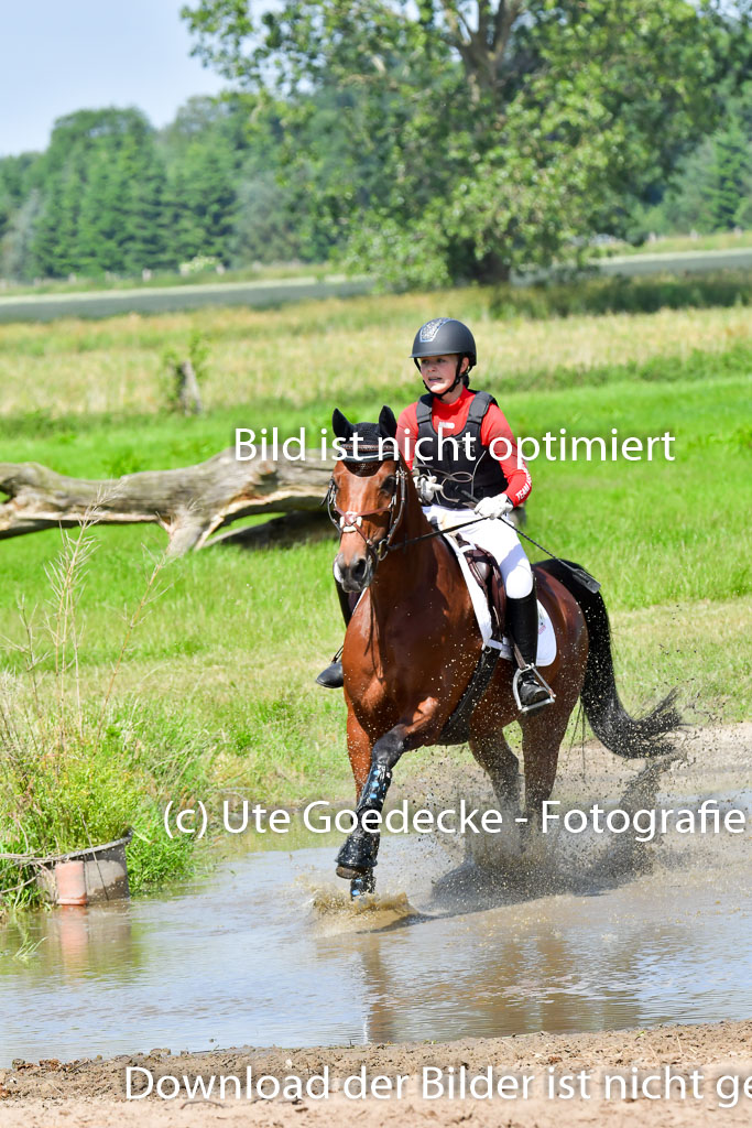 Goldene Schärpe Pferde  in Löningen  11+12.6.22 | 11062022 - Gelände 1 Abt_0681 