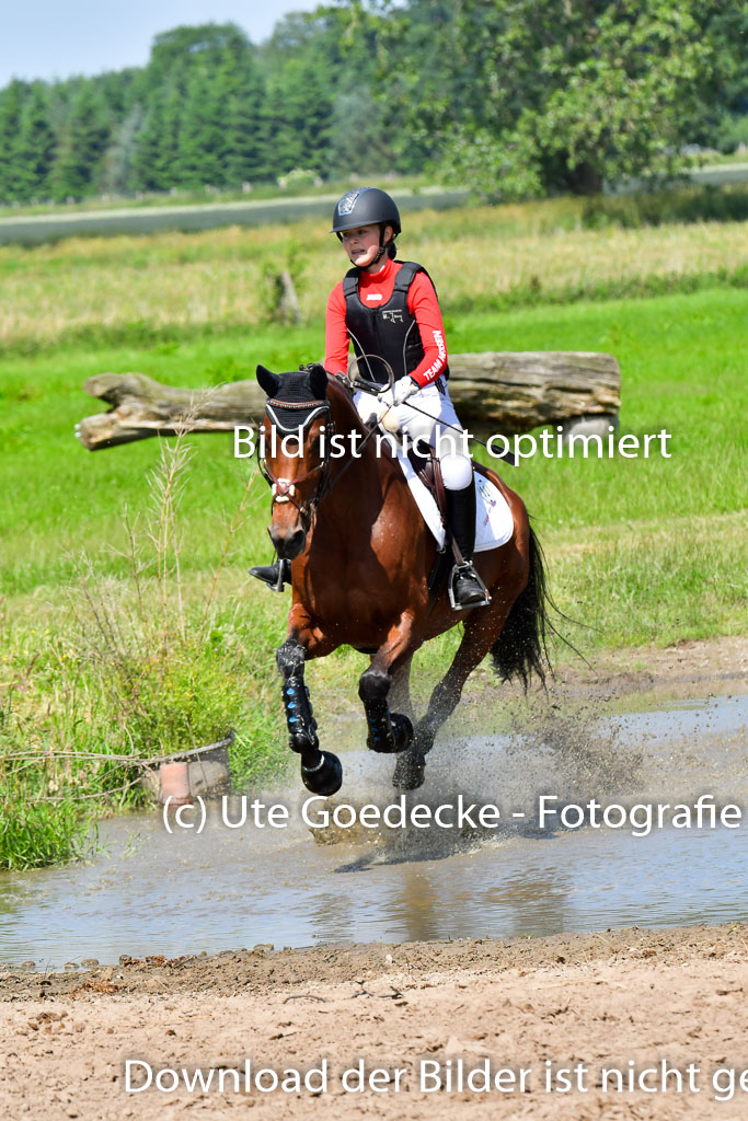 Goldene Schärpe Pferde  in Löningen  11+12.6.22 | 11062022 - Gelände 1 Abt_0682 