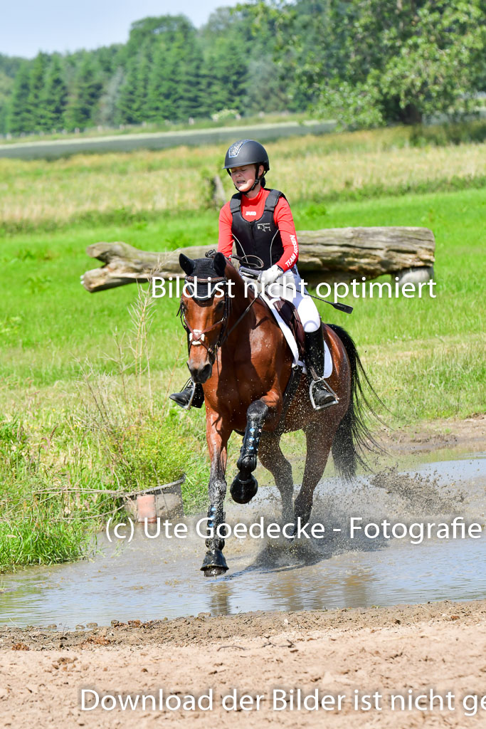Goldene Schärpe Pferde  in Löningen  11+12.6.22 | 11062022 - Gelände 1 Abt_0683 