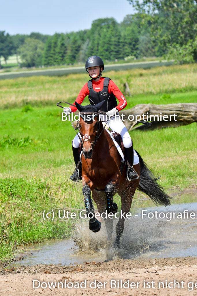 Goldene Schärpe Pferde  in Löningen  11+12.6.22 | 11062022 - Gelände 1 Abt_0684 